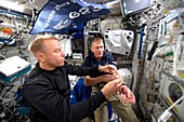 ISS astronauts and blood experiment, 2016