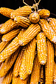 Corn