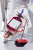 Blood donor processing