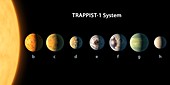 TRAPPIST-1 planets, illustration