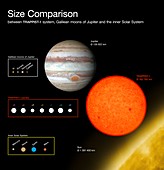 TRAPPIST-1 and Solar System size comparisons, illustration