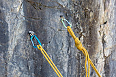 Bolted belay for rock climbing