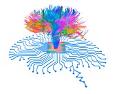 Brain shaped circuit board with fibres