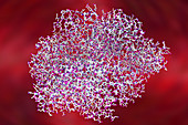 Anthrax oedema factor molecule, illustration