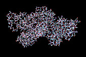 Anthrax lethal factor molecule, illustration