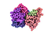 Cholera toxin molecule, illustration