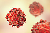 Leukaemia blood cell, illustration