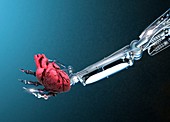 Robotic hand holding heart
