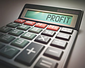 Calculator with profit