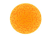 Orange sphere