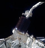 Shuttle astronauts with Palapa B-2 satellite