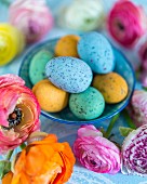 Colourful speckled eggs in bowls amongst ranunculus flowers