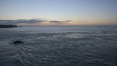 Coastal scene at sunset