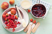 Frische Früchte, Rote Grütze, Vanillesauce und Löffelbiskuits