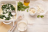 Ingredients for spinach lasagne with ricotta