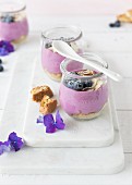Layered desserts with cantuccini and blueberries