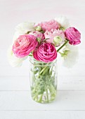 Pink and white ranunculus in glass vase