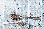 Chia seeds on a spoon