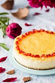 A spring Pina Colada cheesecake with coconut and pineapple