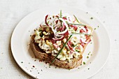 An open sandwich with radishes, hard-boiled egg and cooked ham