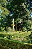 Boxwood hedge maze in the garden with topiary