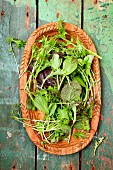 Wild herb salad in a wooden bowl