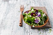 Frühlingssalat mit Rucola, Feldsalat, Radieschen, Zwiebelringen, Kresse und Essblüten