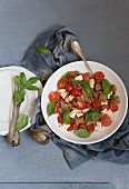 A bread salad with tomatoes, mozzarella and basil