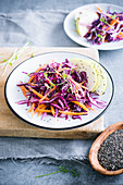 Red cabbage and carrot salad with chia seeds and apples