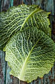 Two savoy cabbage leaves