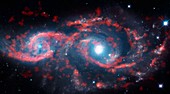 Interacting galaxies, ALMA-HST image