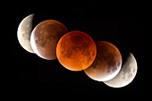 Total lunar eclipse 2015
