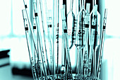 Pipettes in laboratory