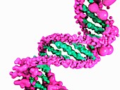 DNA, illustration