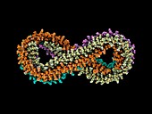Human apolipoprotein A-I molecule