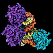 Transcription factor TATA-box complex