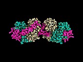 Tyrosine phosphatase chaperone complex