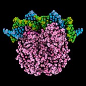 CAP-DNA complex