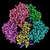 Nerve growth factor complex