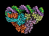 Nickel-responsive regulator complex