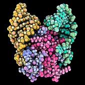 Repressing clamp complexed with mRNA