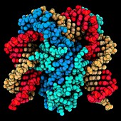 DNA-bending protein Hbb complex