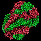 Mechanosensitive channel molecule