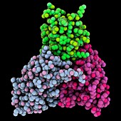 Scorpion toxin complex