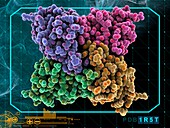 RNA-editing enzyme molecule
