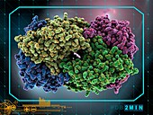 Nitrogen-fixing molybdenum iron enzyme