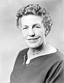 Mary Elizabeth Switzer, US social reformer