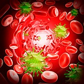 Viral blood infection, illustration
