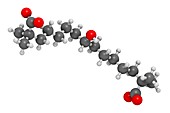 Bempedoic acid hypercholesterolemia drug molecule