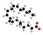 Dihomo-g-linolenic acid fatty acid molecule